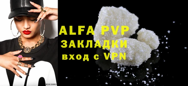 прущие грибы Сосновка