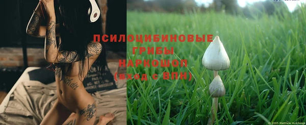 дурь Волосово