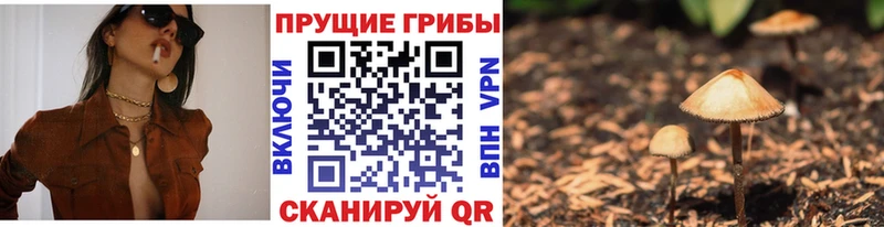 наркота  Партизанск  Галлюциногенные грибы ЛСД 